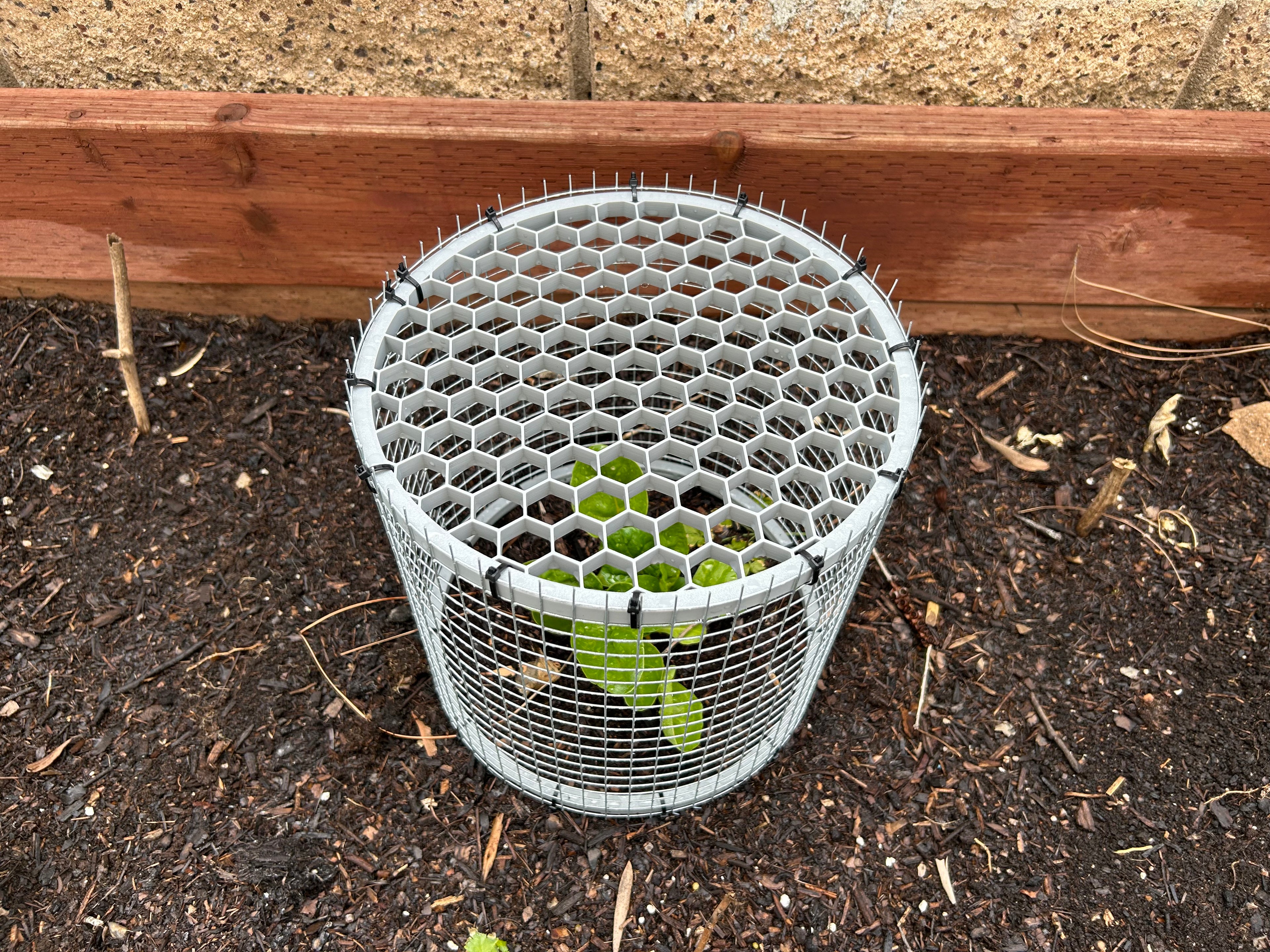 Plant cage ends (cylinder version)