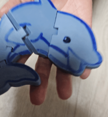 flexi dolphin