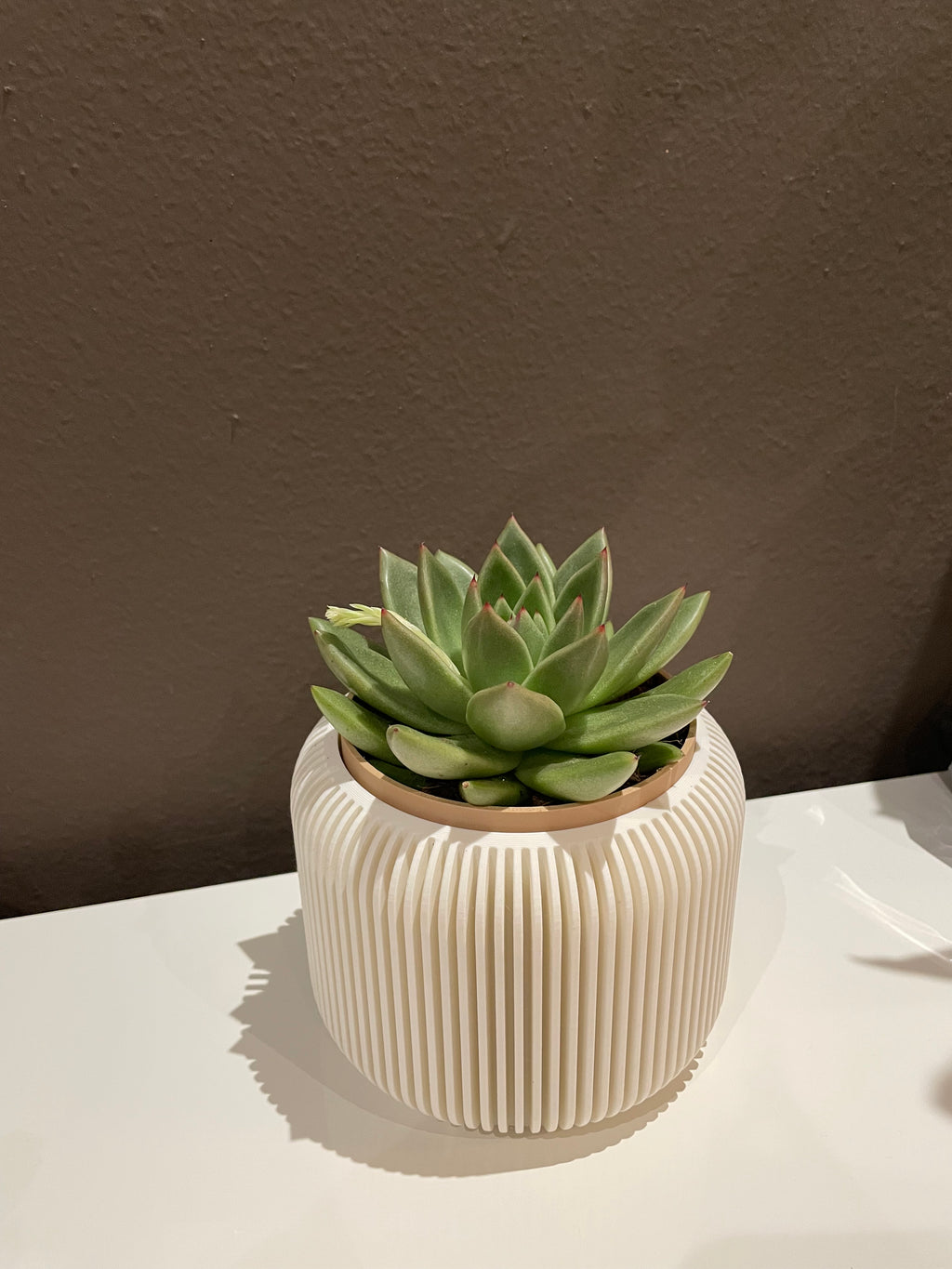 Vaso per pianta di design doppio colore (no AMS)