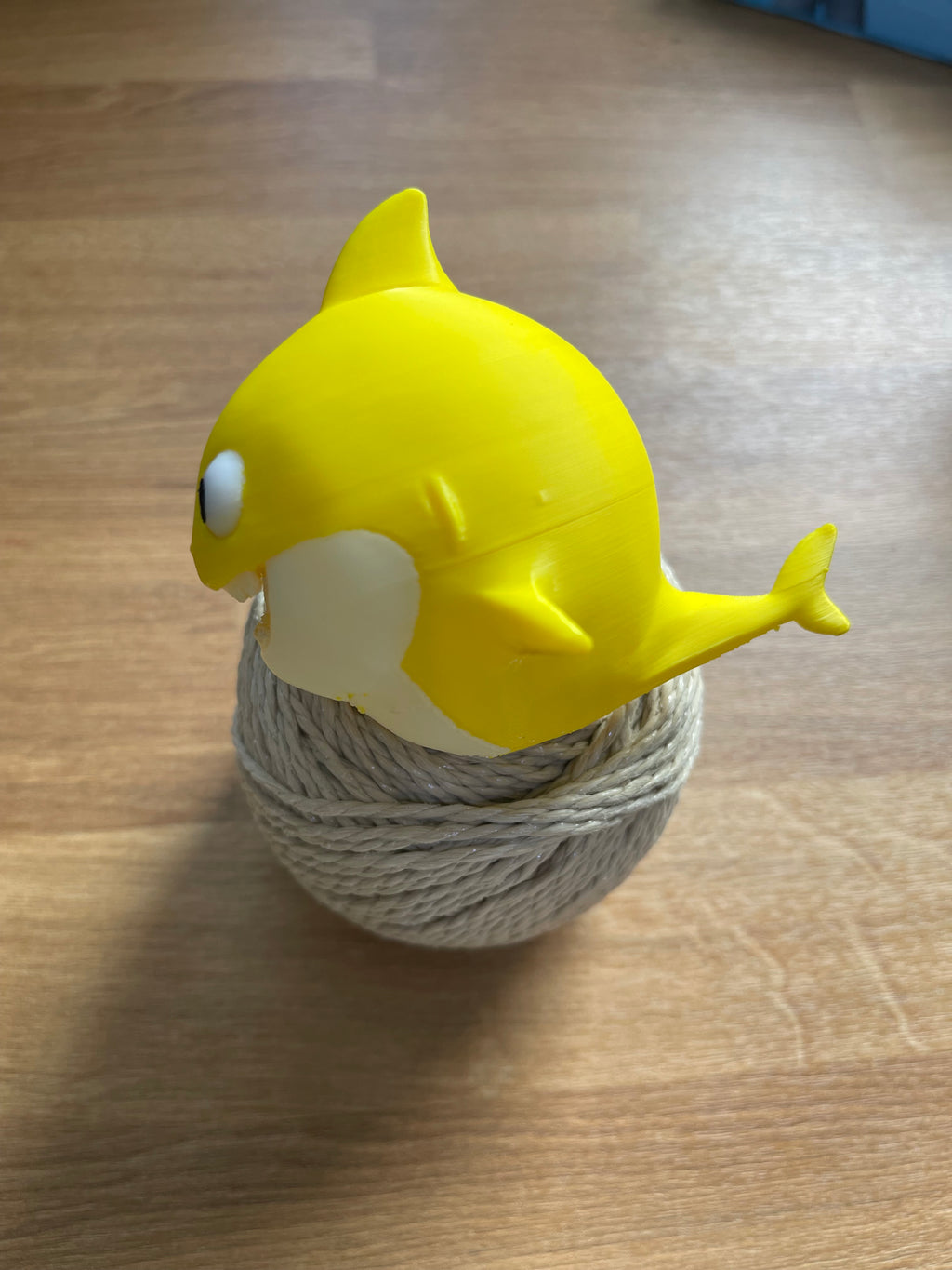 Baby Shark Family