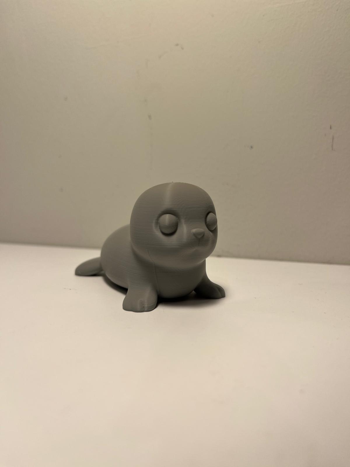 Lovely seal