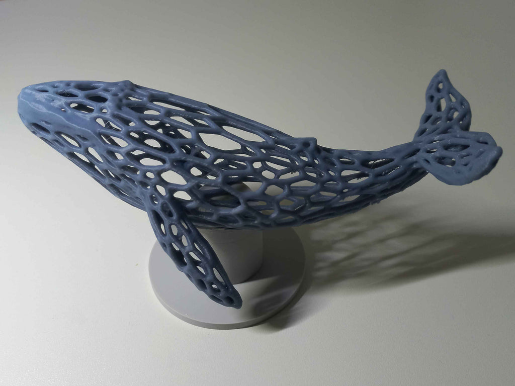 Whale Voronoi