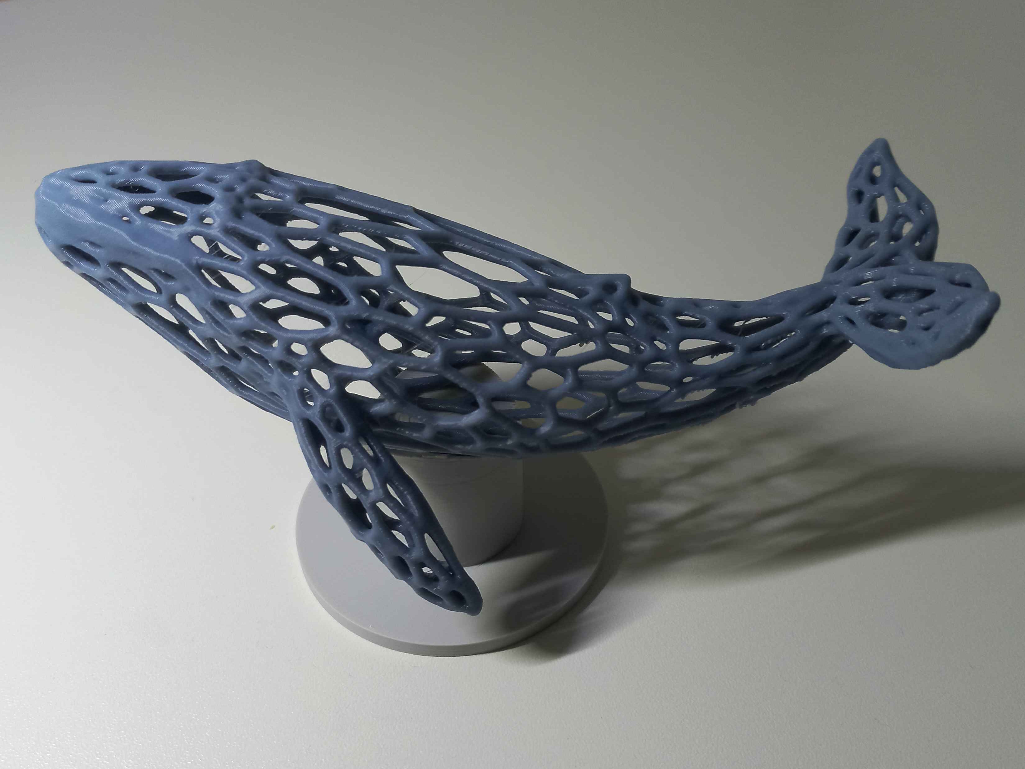 Whale Voronoi
