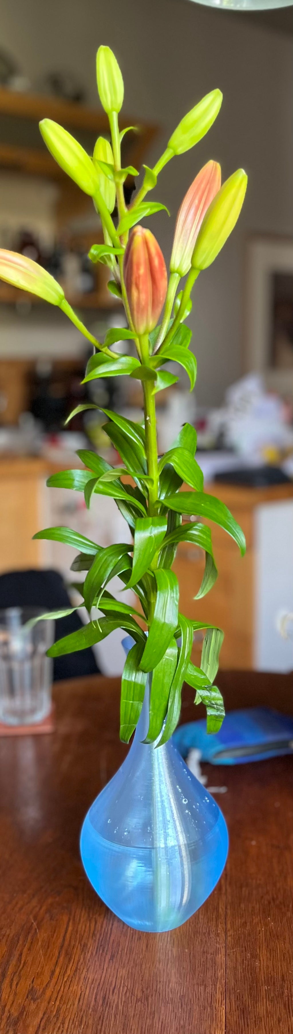 Waterproof PETG vase