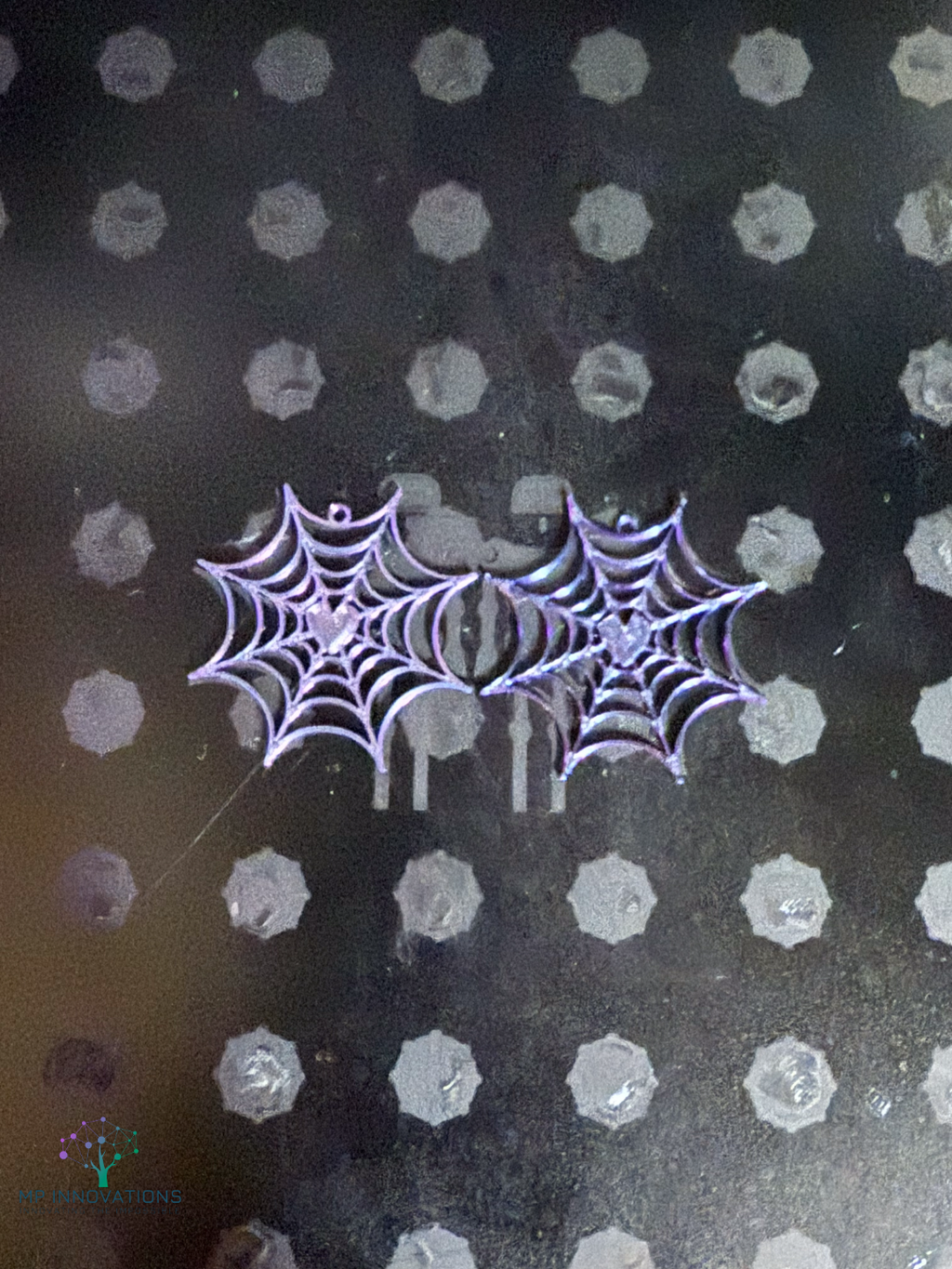 Spider Web with Heart Earrings