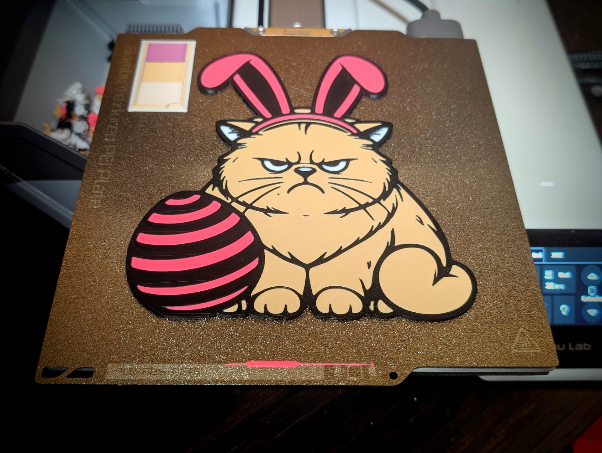 Grumpy Easter Cat