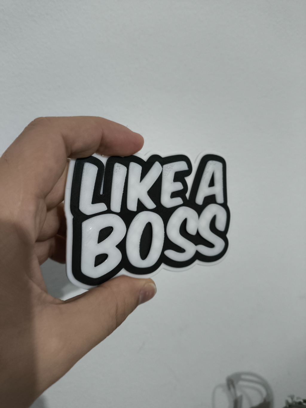 Like a Boss