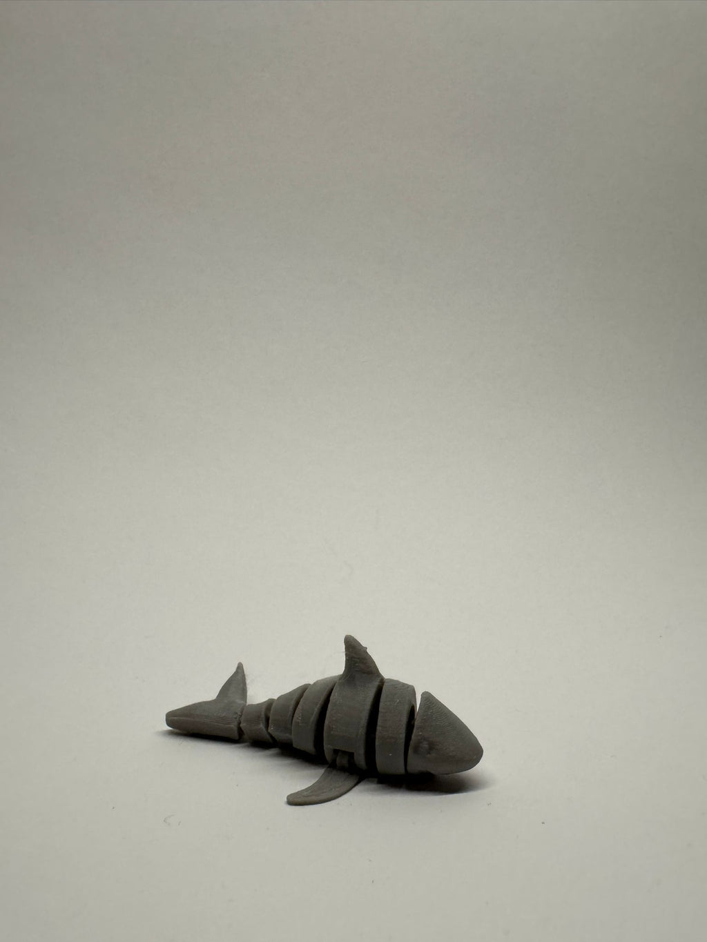 Cute Articulated Shark