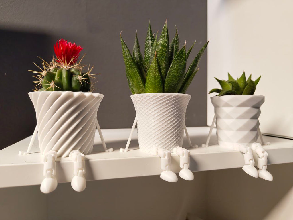 Mini Cactus family flowerpot