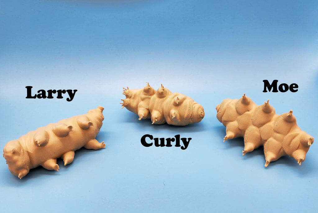 The Tardigrades - 3 Models