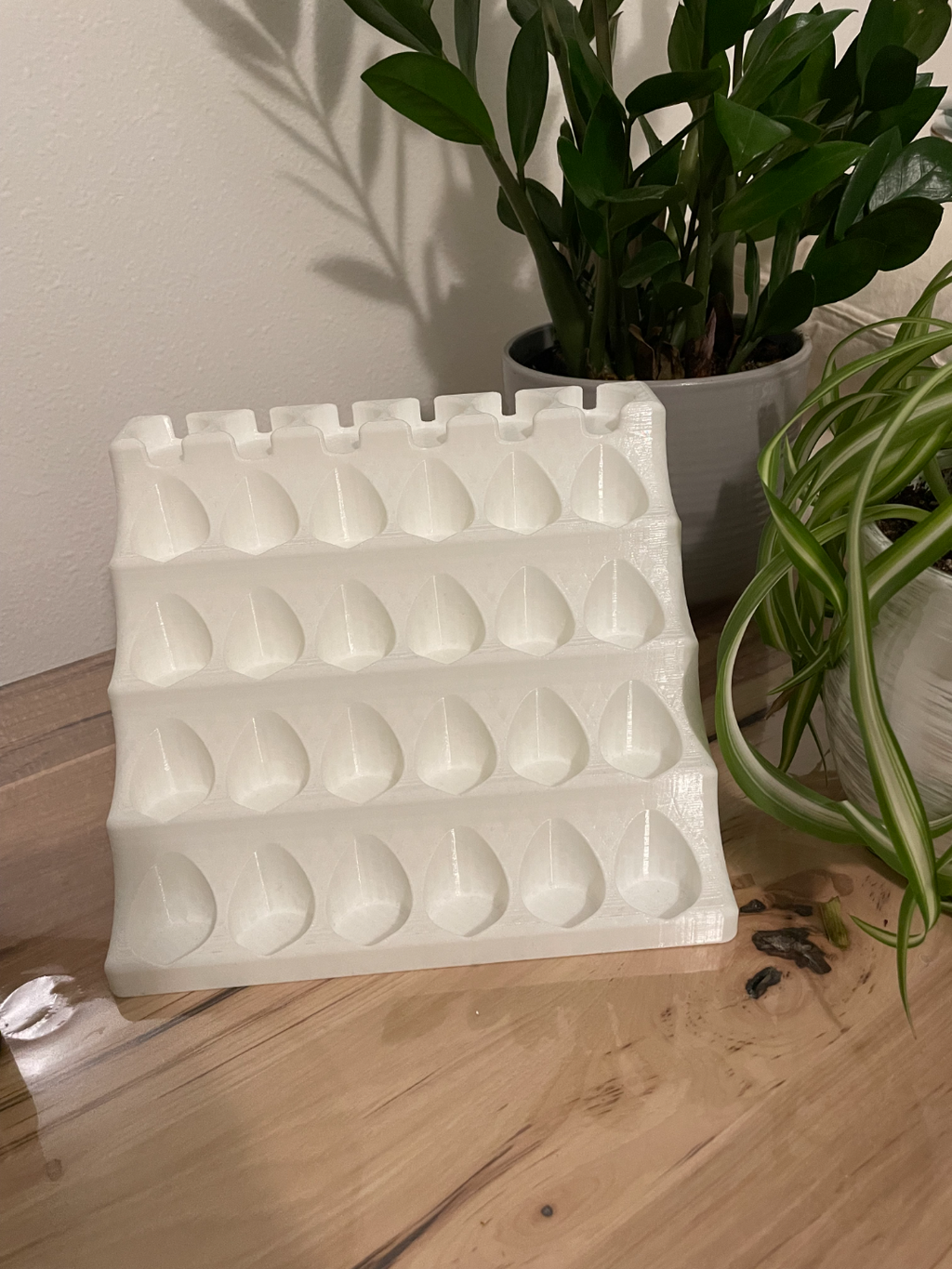 Essential Oil Shelve