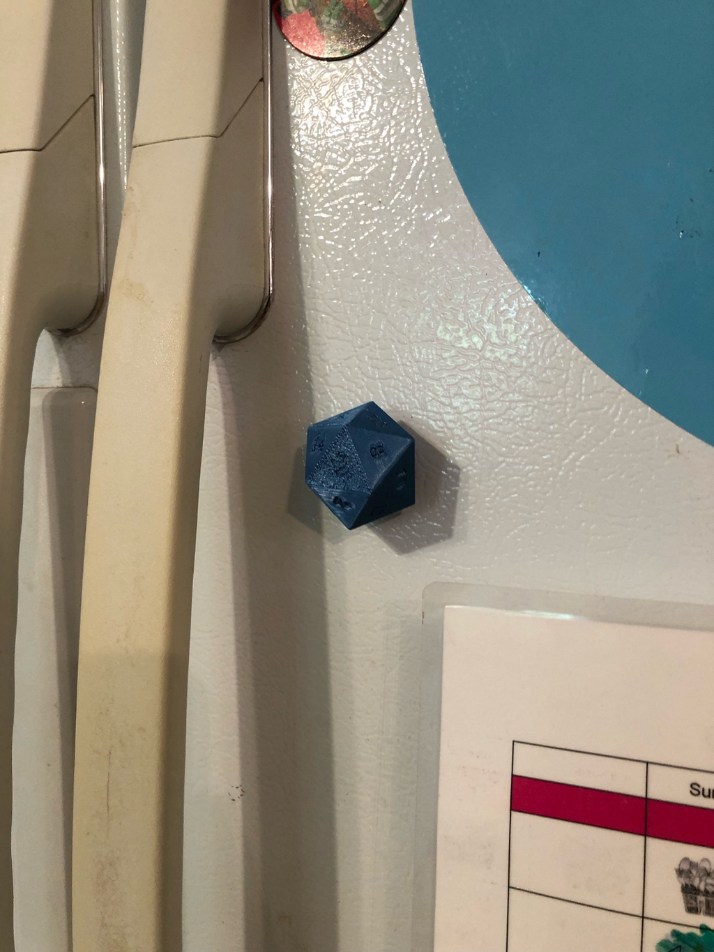 D20 Magnet