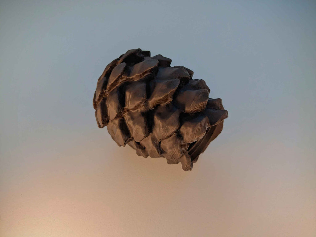 Secret Pinecone Container