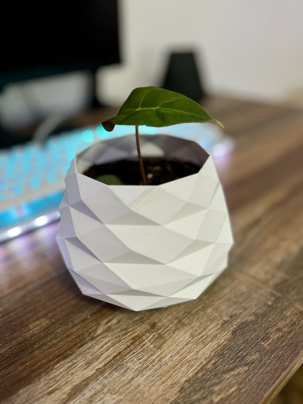 Small low poly pot