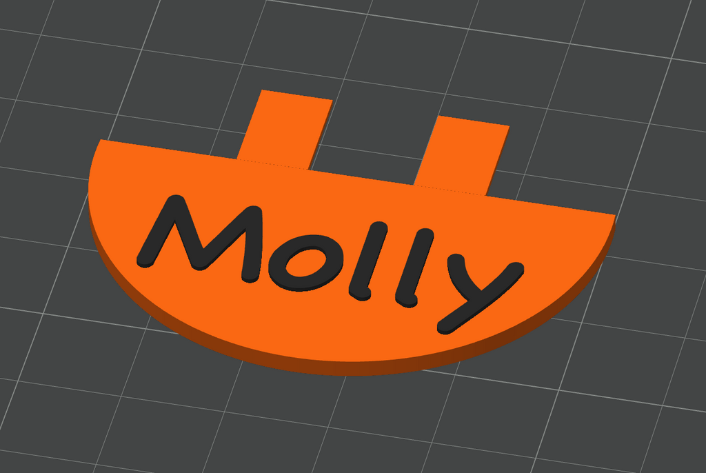 Owala bottle name tag