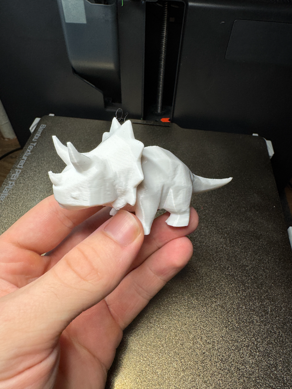 Dinosaur triceratops (free to sell!)