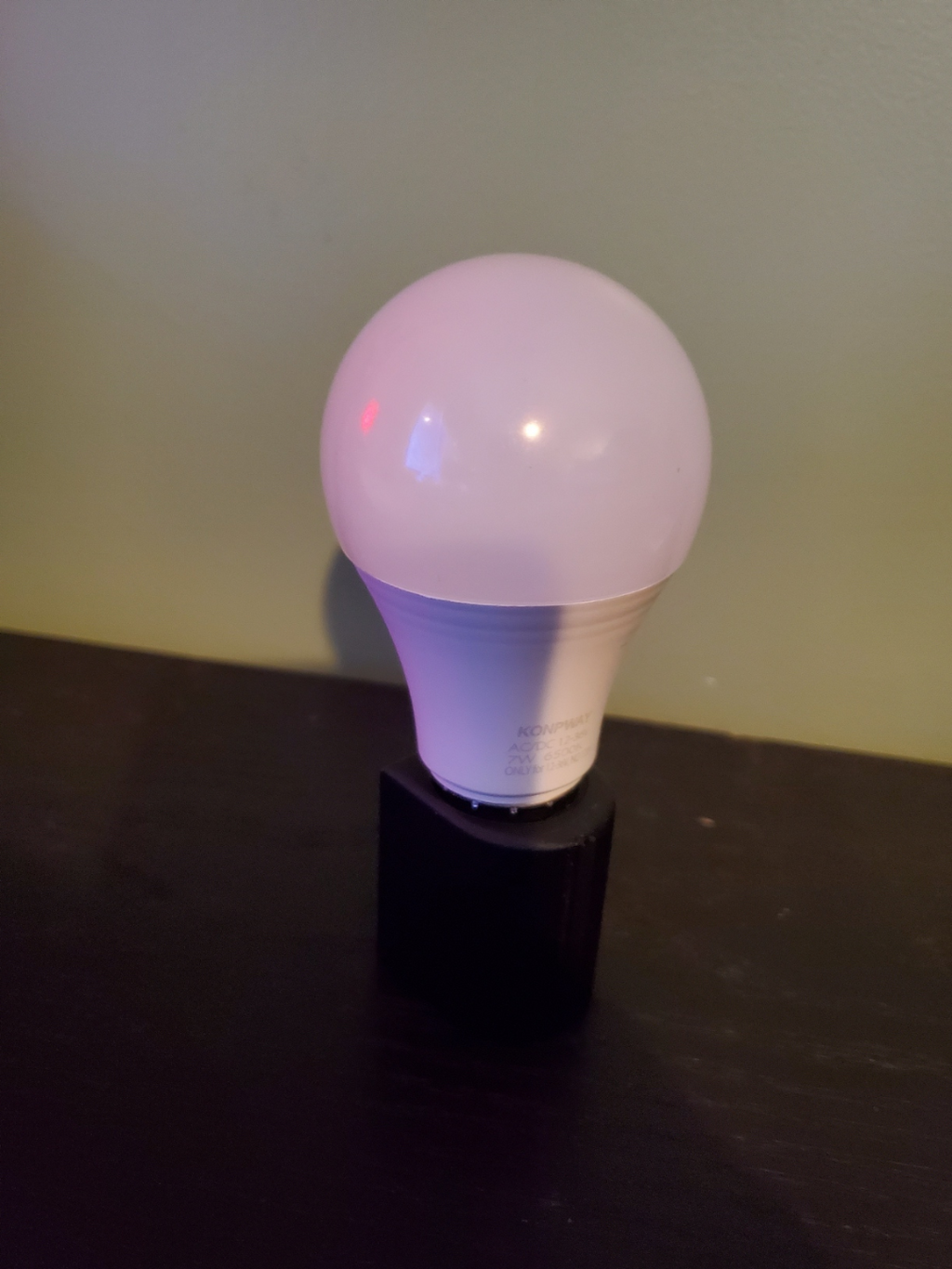 Ryobi 12V LED Lightbulb Light Bulb Adapter