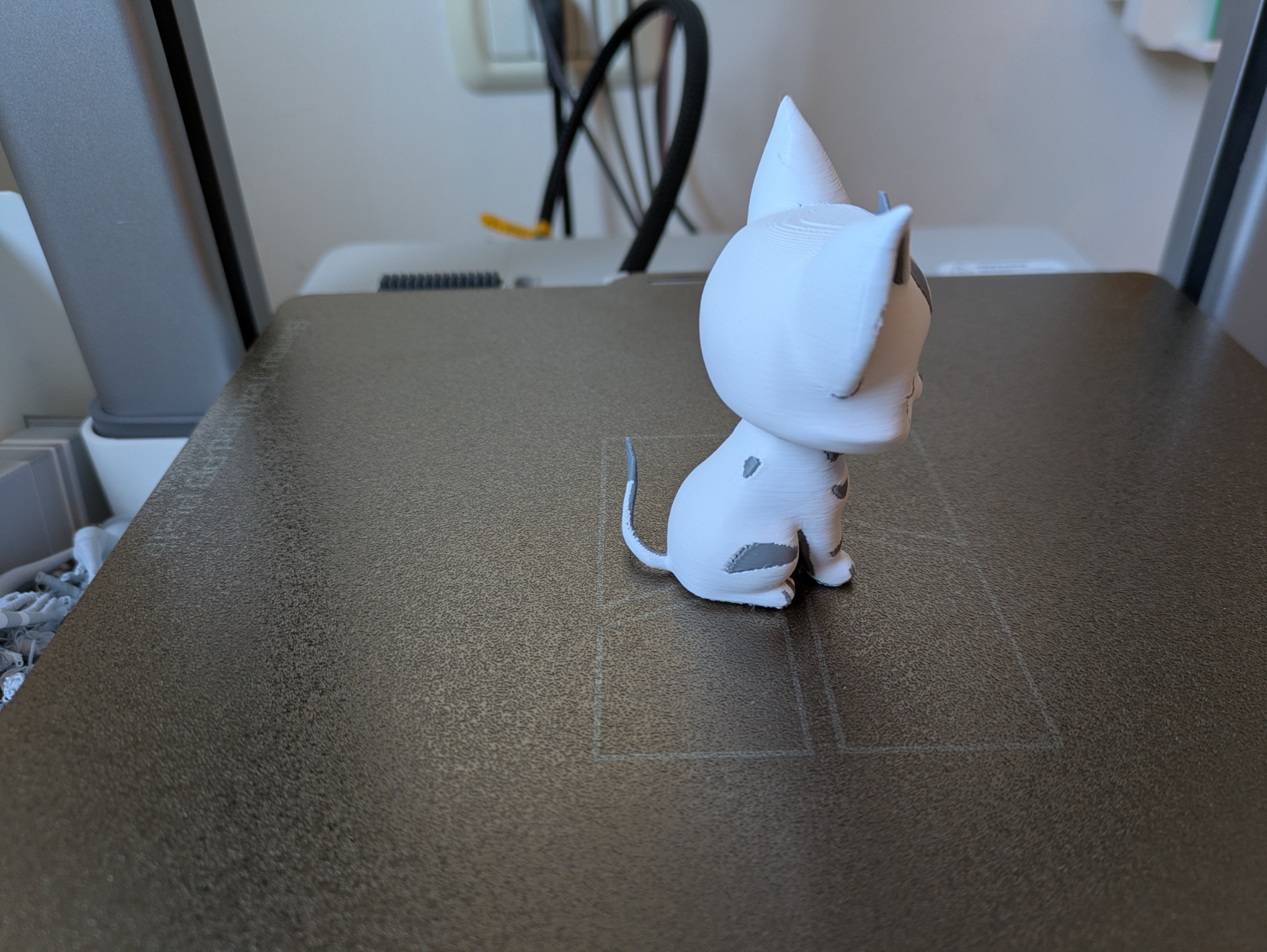 Cute zebrine kitten