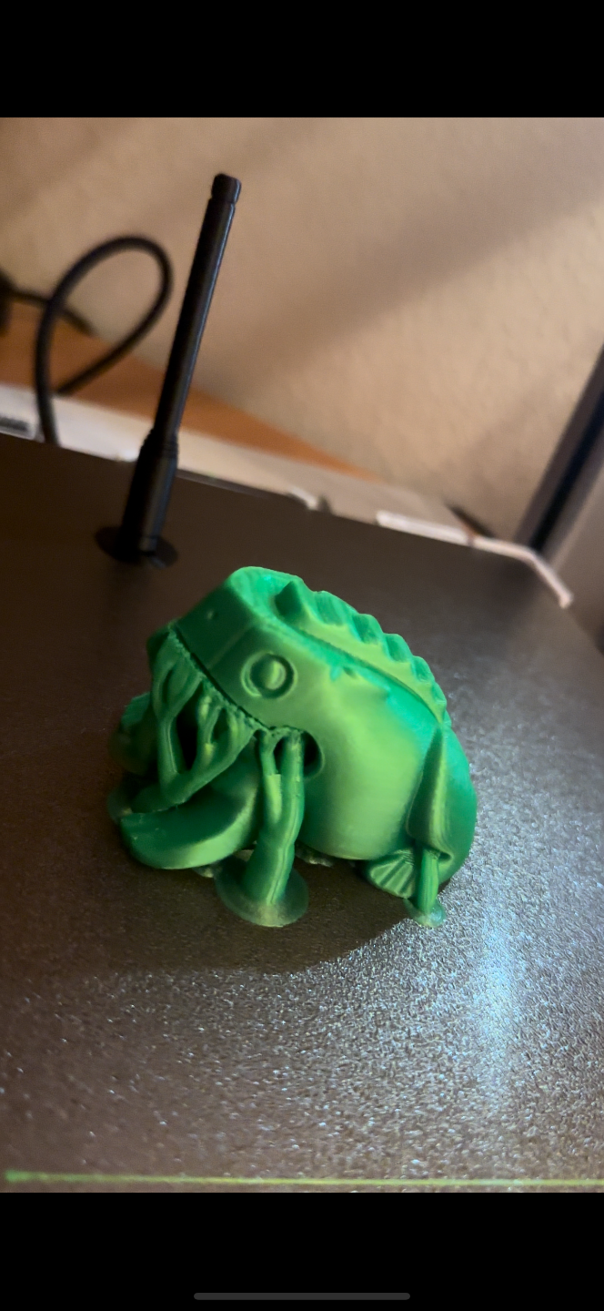 percussion frog / frosch instrumental