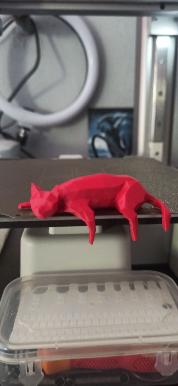 low poly sleepy cat