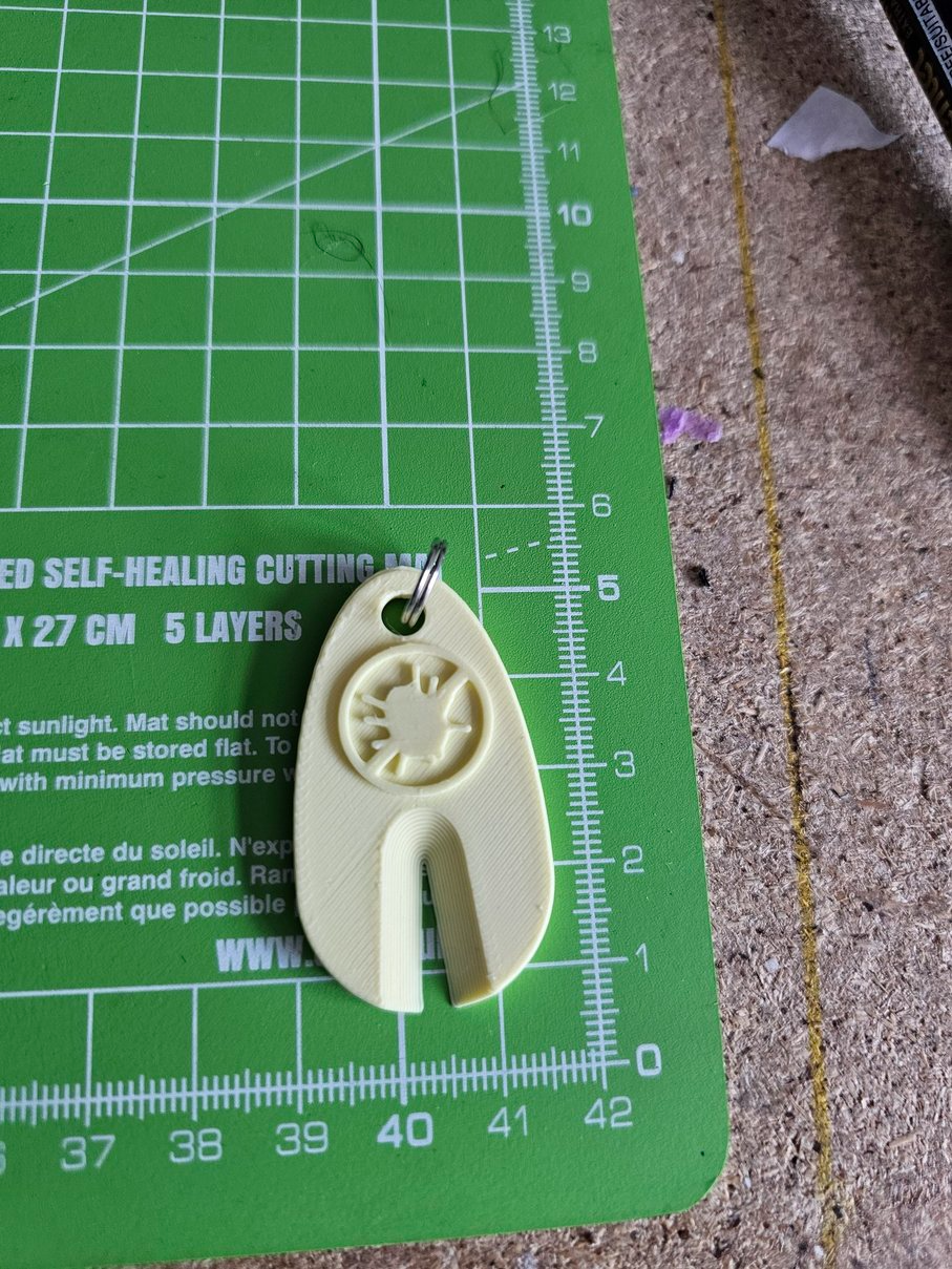 Tick removal keyring