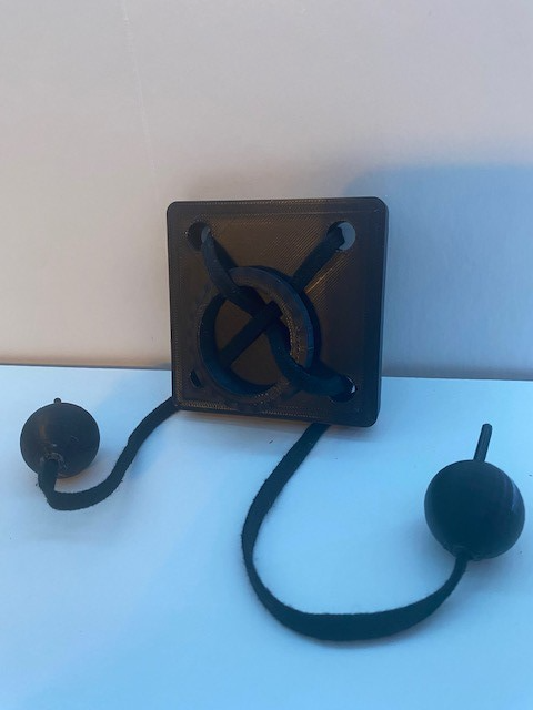 Rope/Ring Puzzle
