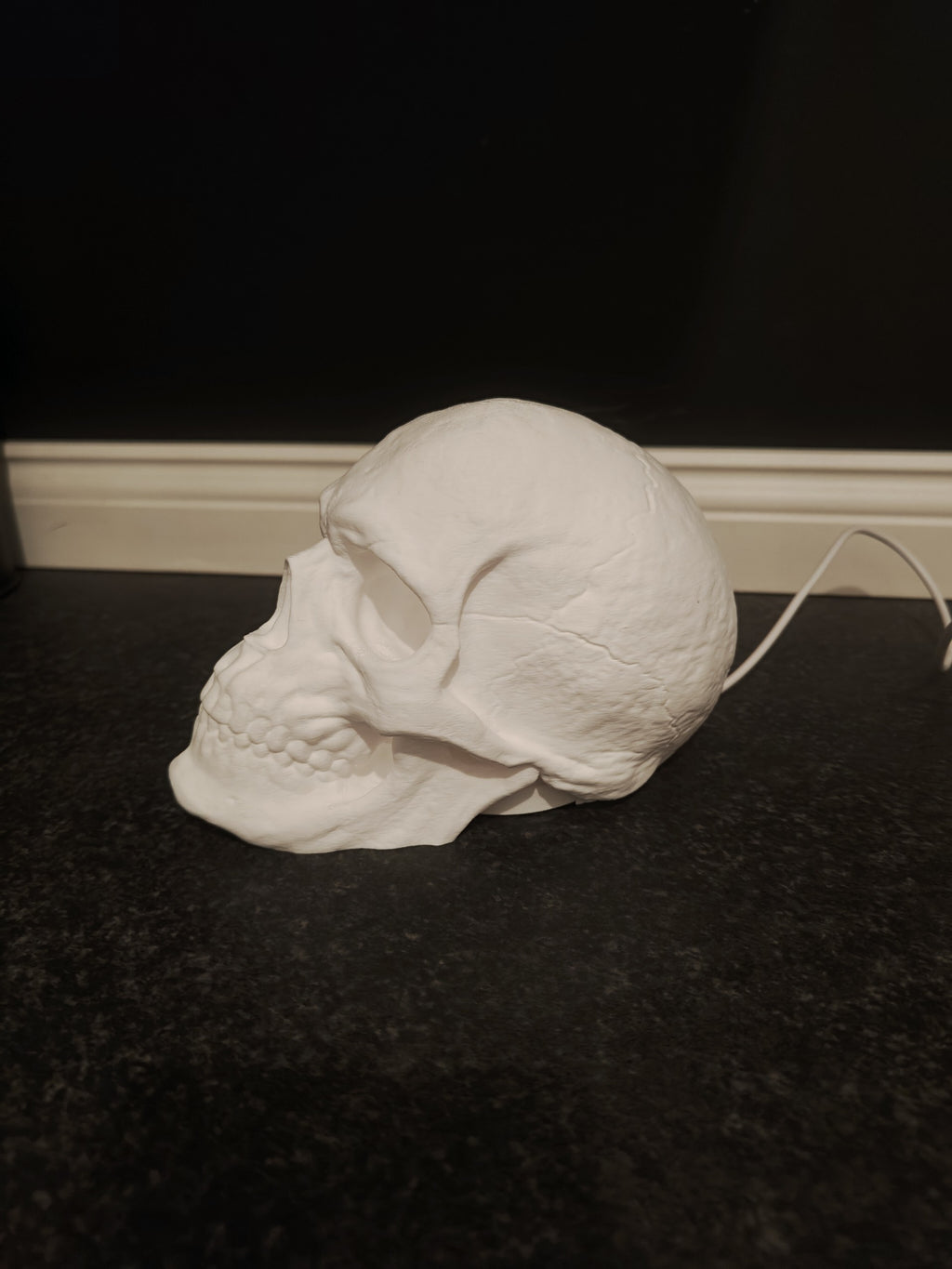 Skull Lamp (LED Lamp Kit-001)