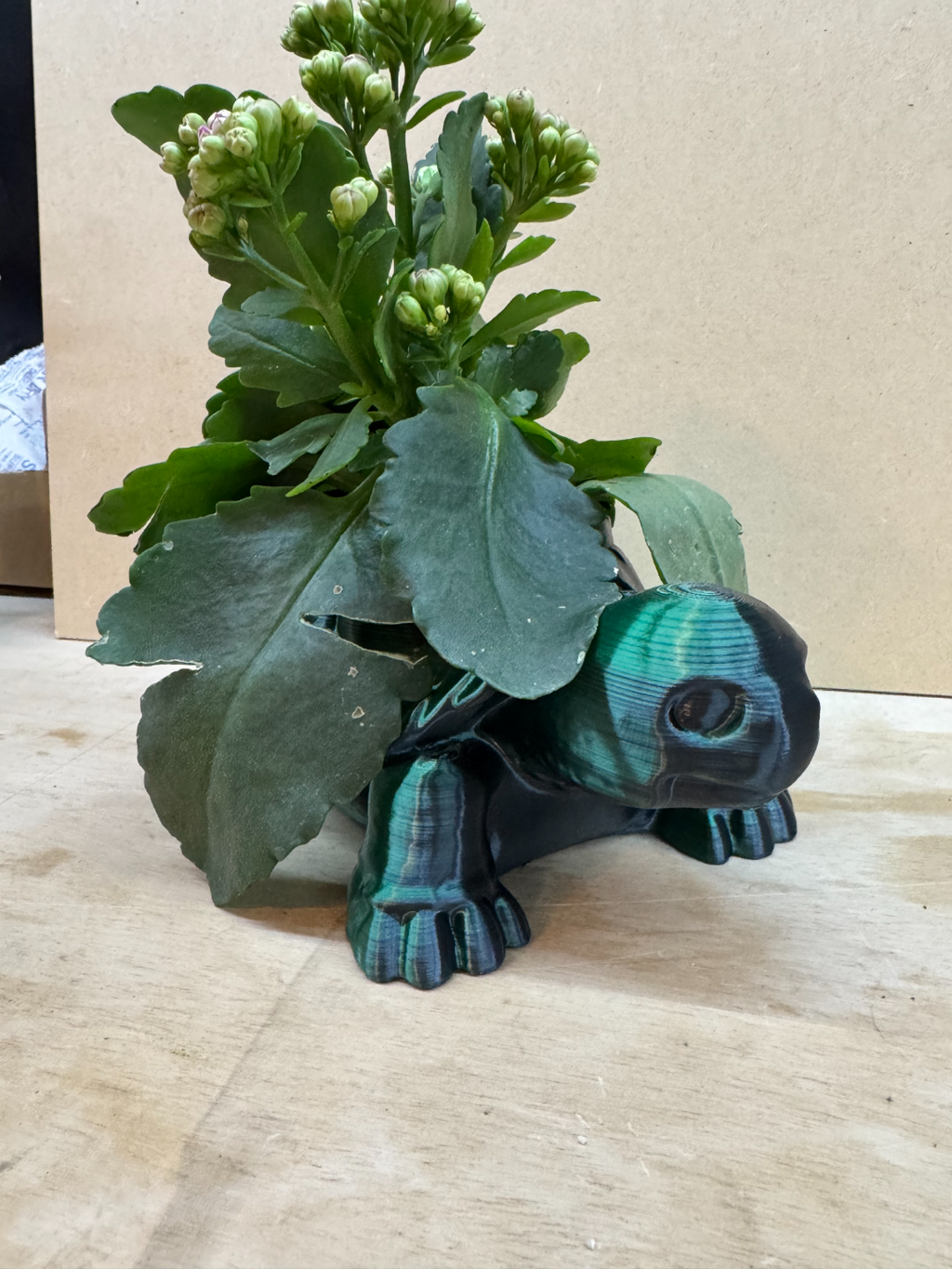 Turtle Planter
