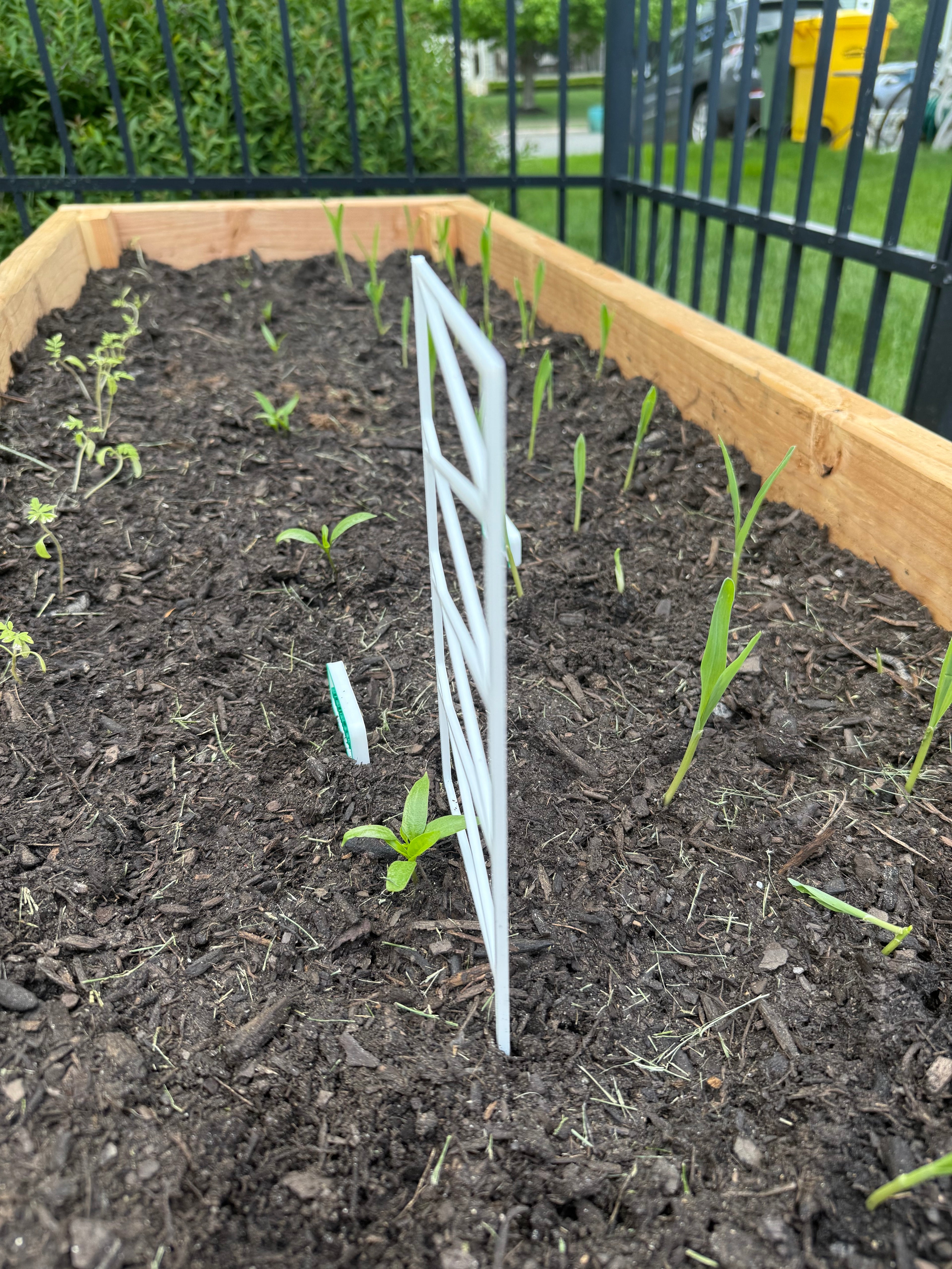 plant support fence
