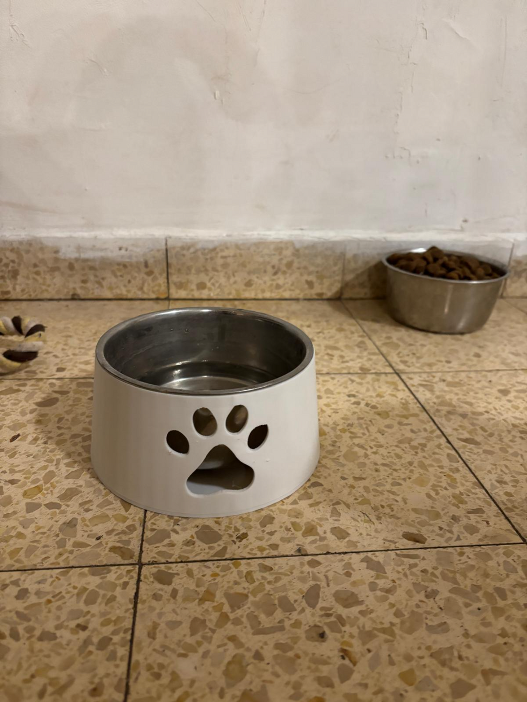Dog Bowl 13 cm diameter