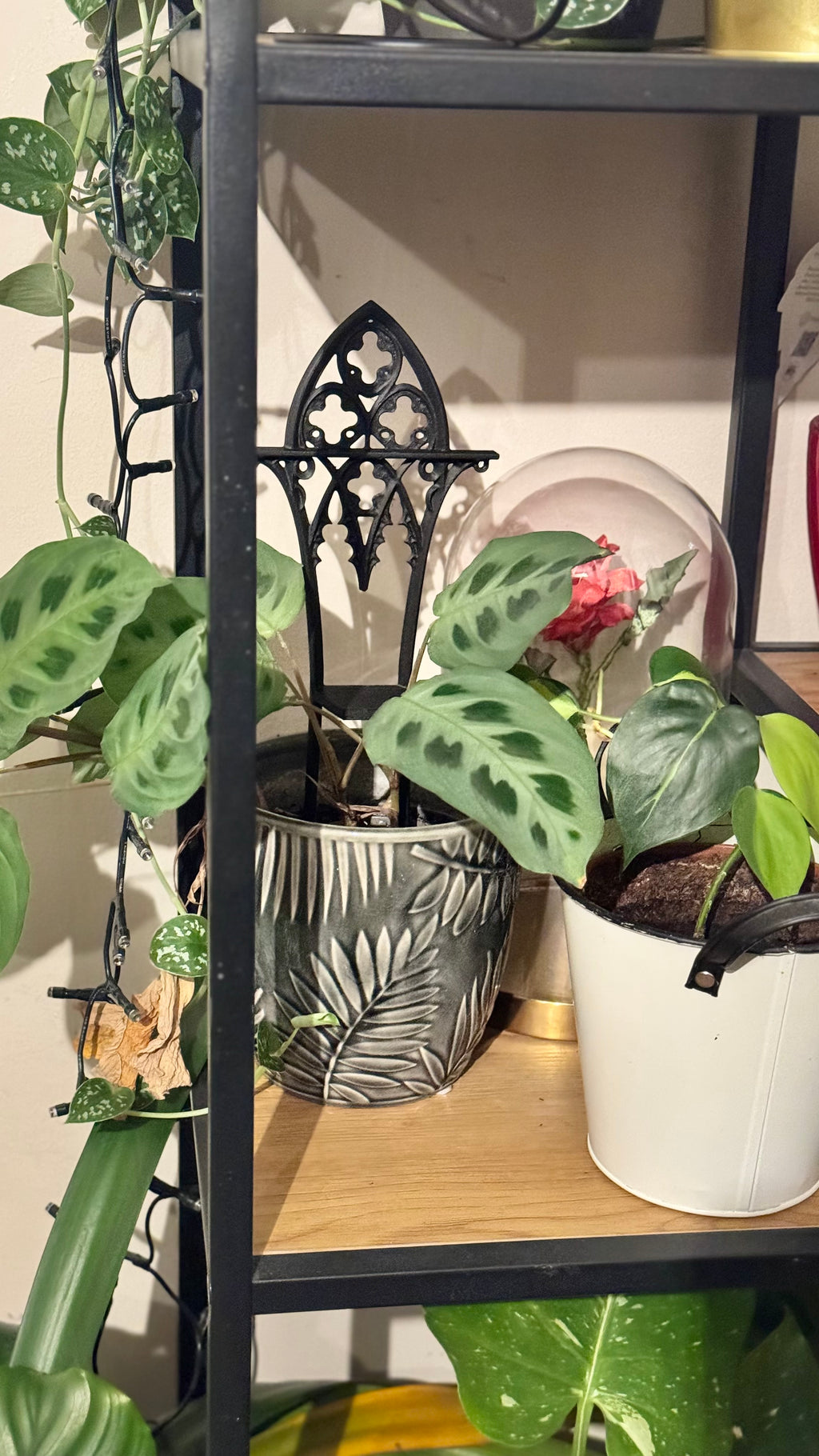 Plant trellis, support, Ghotic theme new ver.