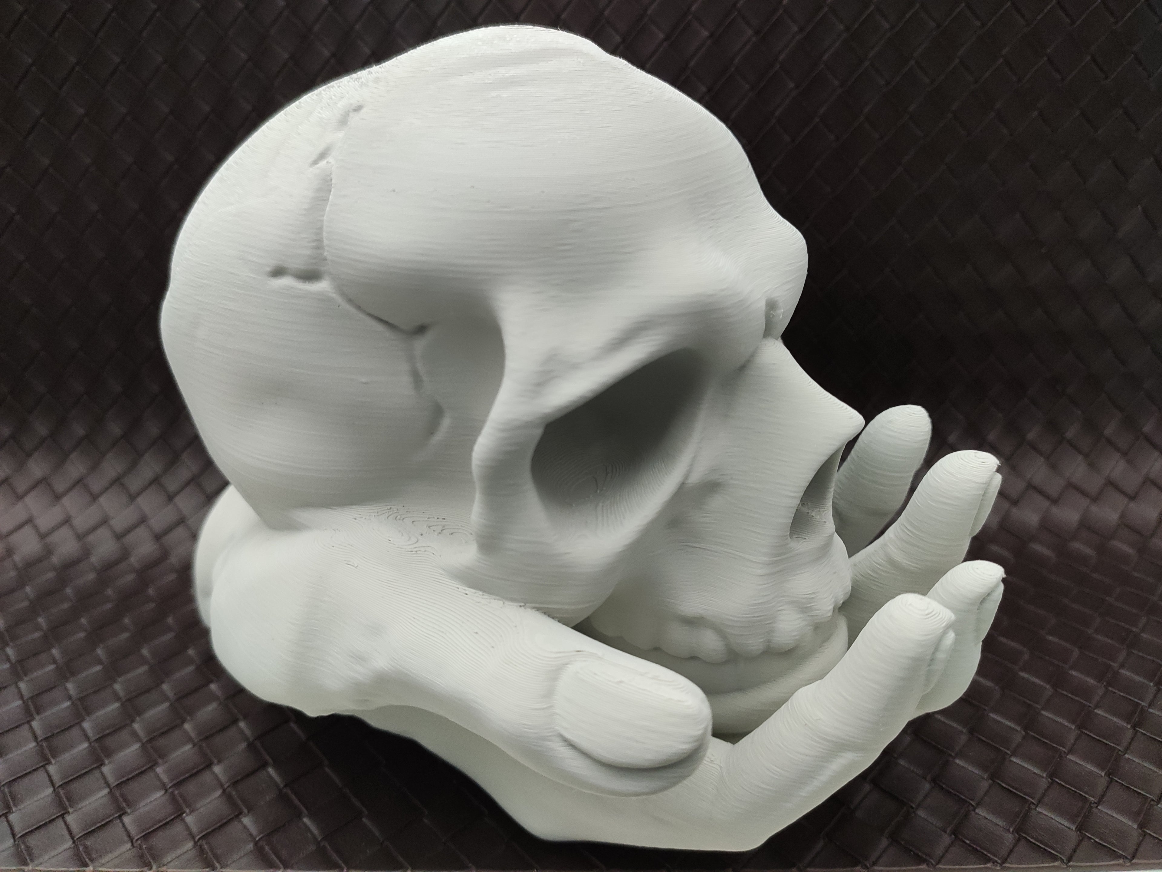 Skull in Hand - Coin bank / Piggy bank