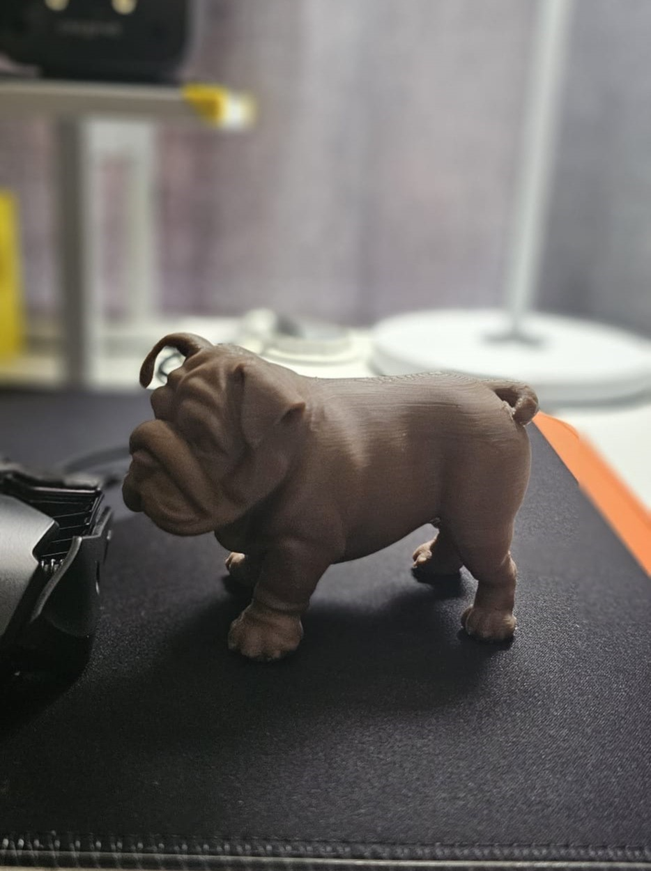 BULLDOG (Realista)