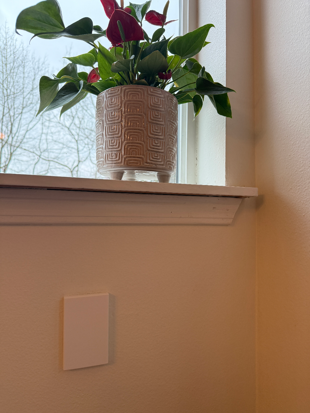 Outlet cover for US standard outlets