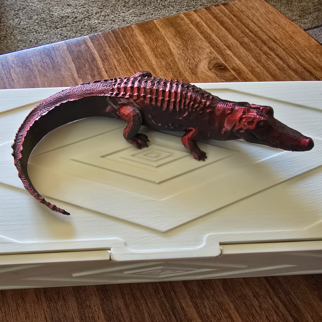 Alligator