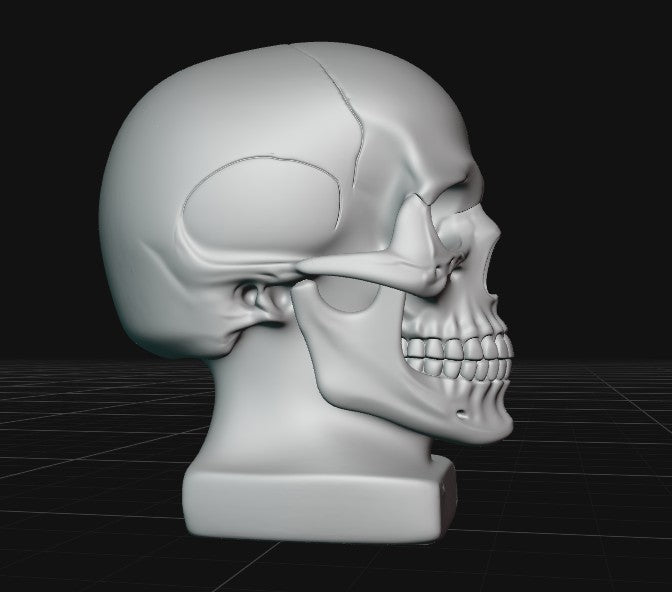 skull bust