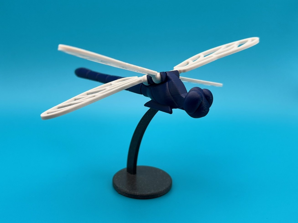Voronoi Dragonfly