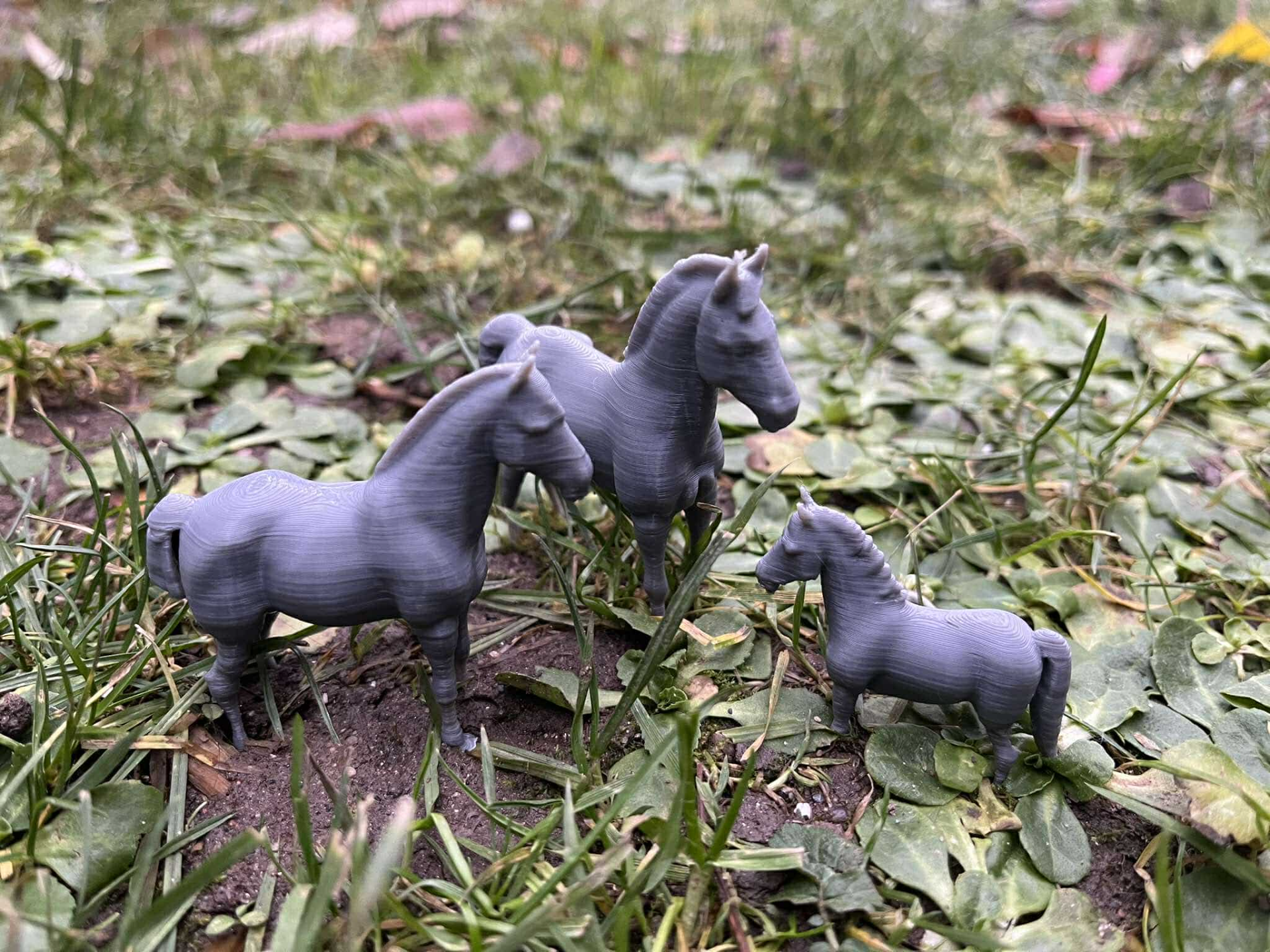 Horse family on the farm