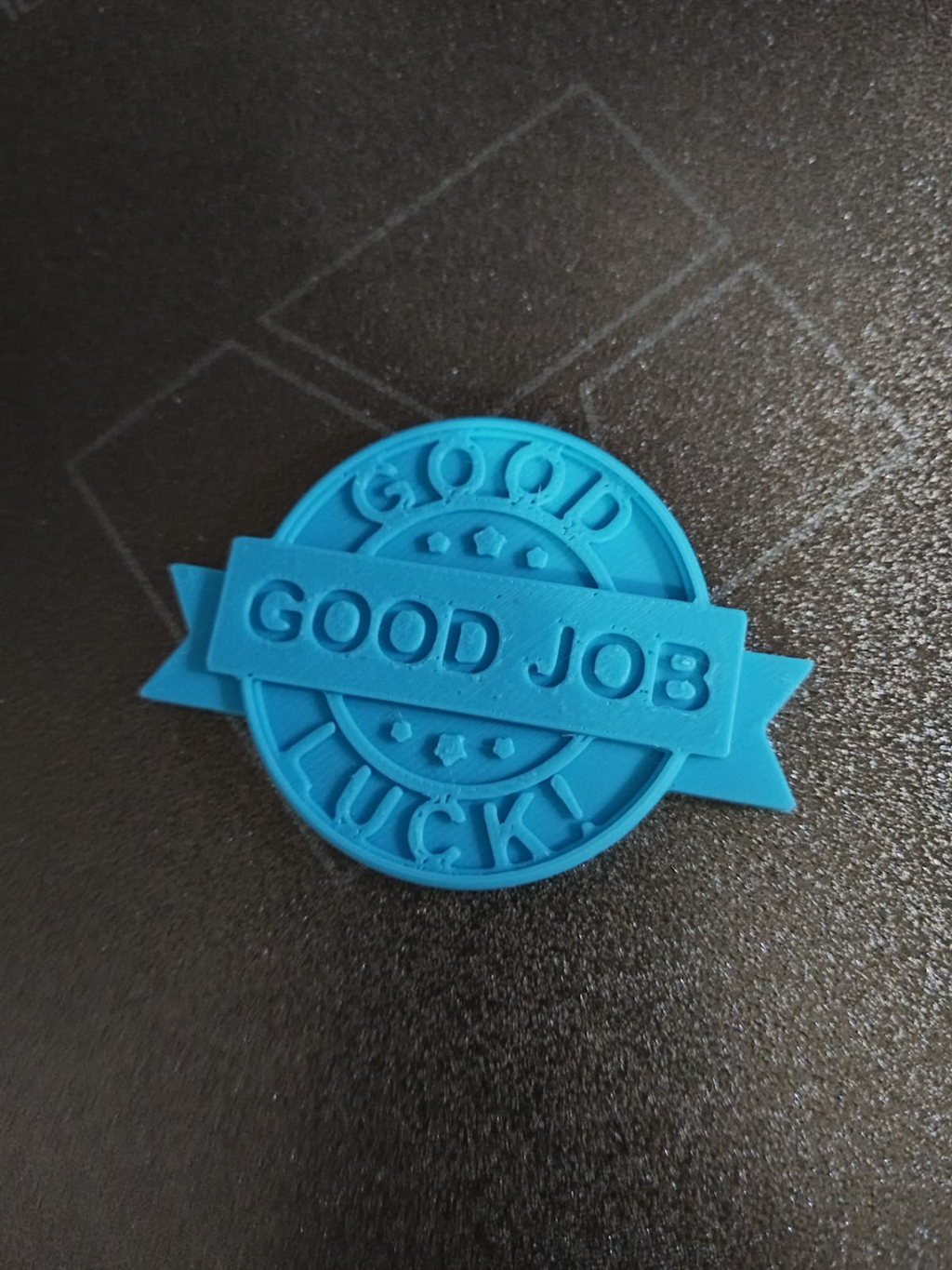 Good Job / Good Luck Medal Badge Coin