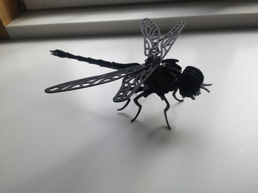 Dragonfly_3D