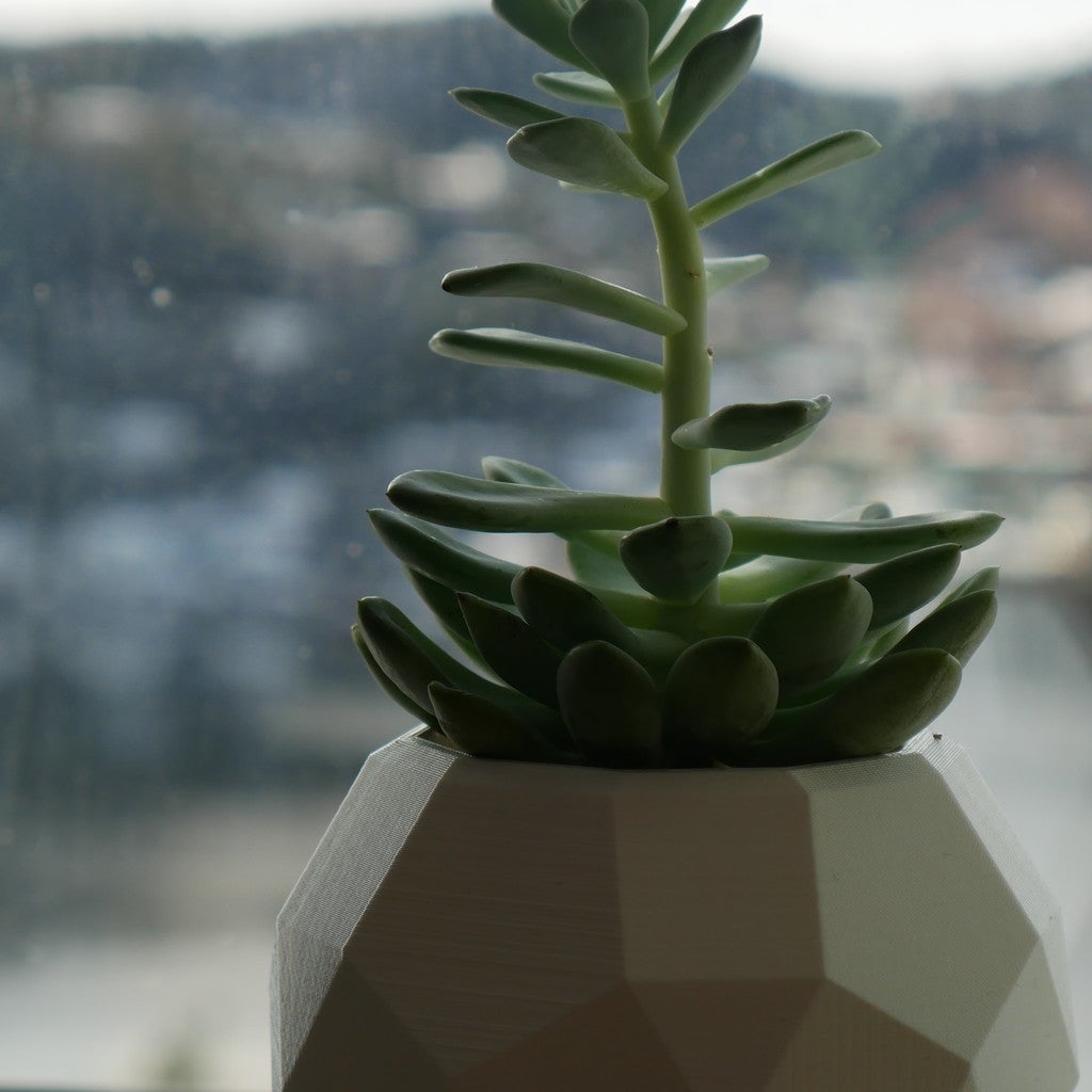 Levitating Planter