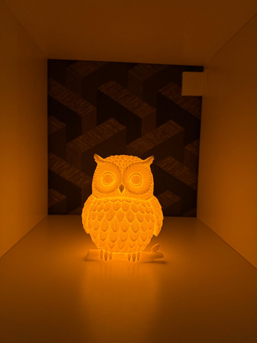 Owl LED