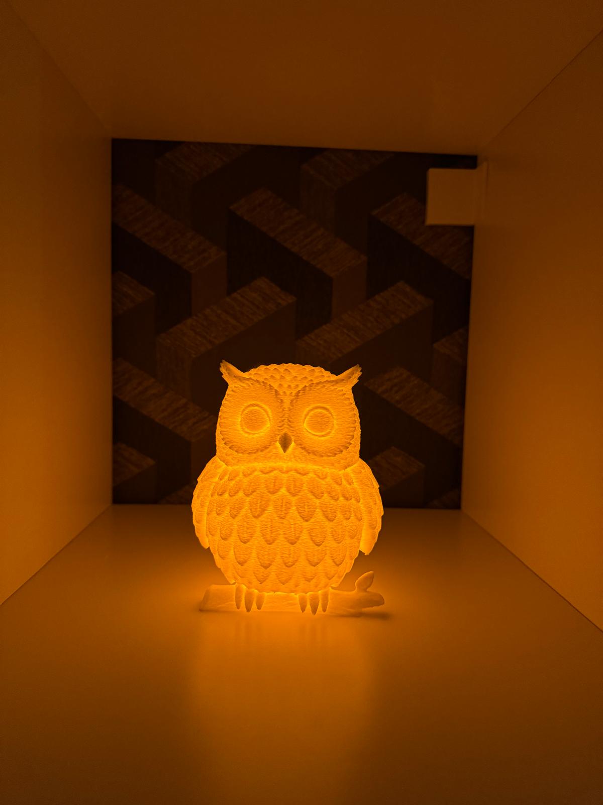Owl LED