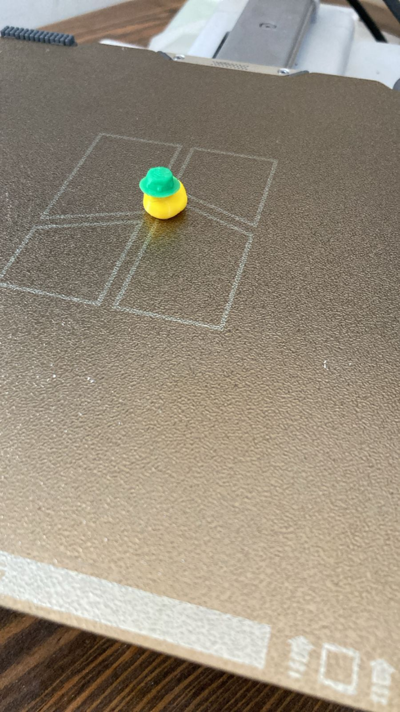 Tiny duck wearing a bucket hat