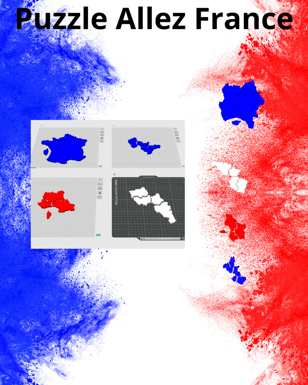 Regions of France 3D Puzzle