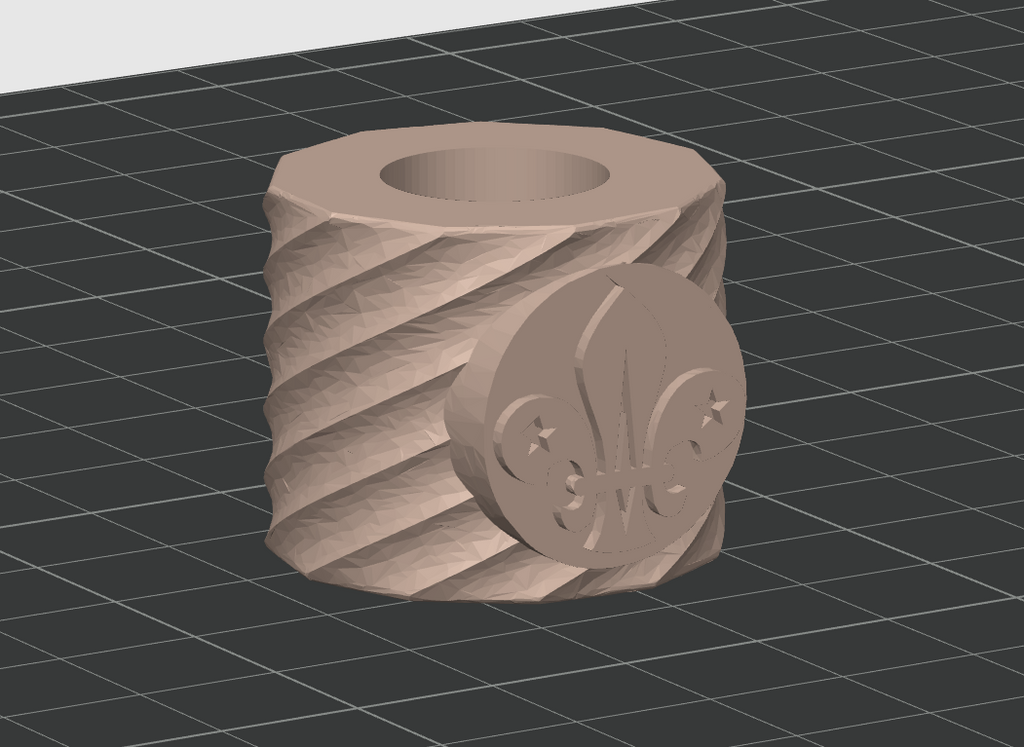 Scout Woggle twisted
