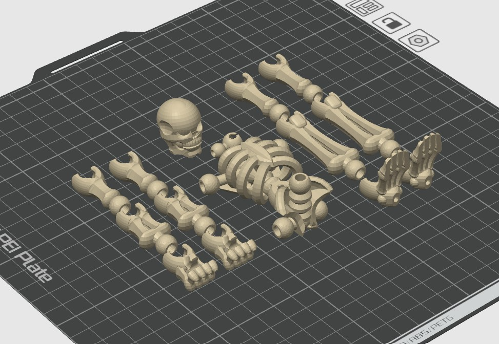 Poseable Skeleton