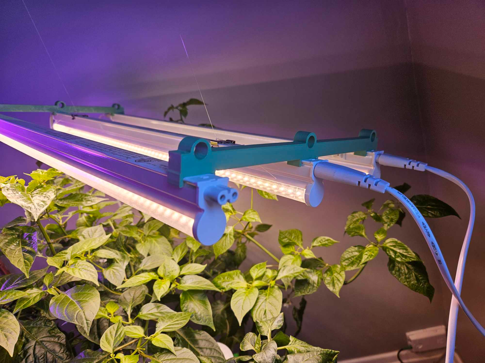 T5 Noma grow light triple bracket