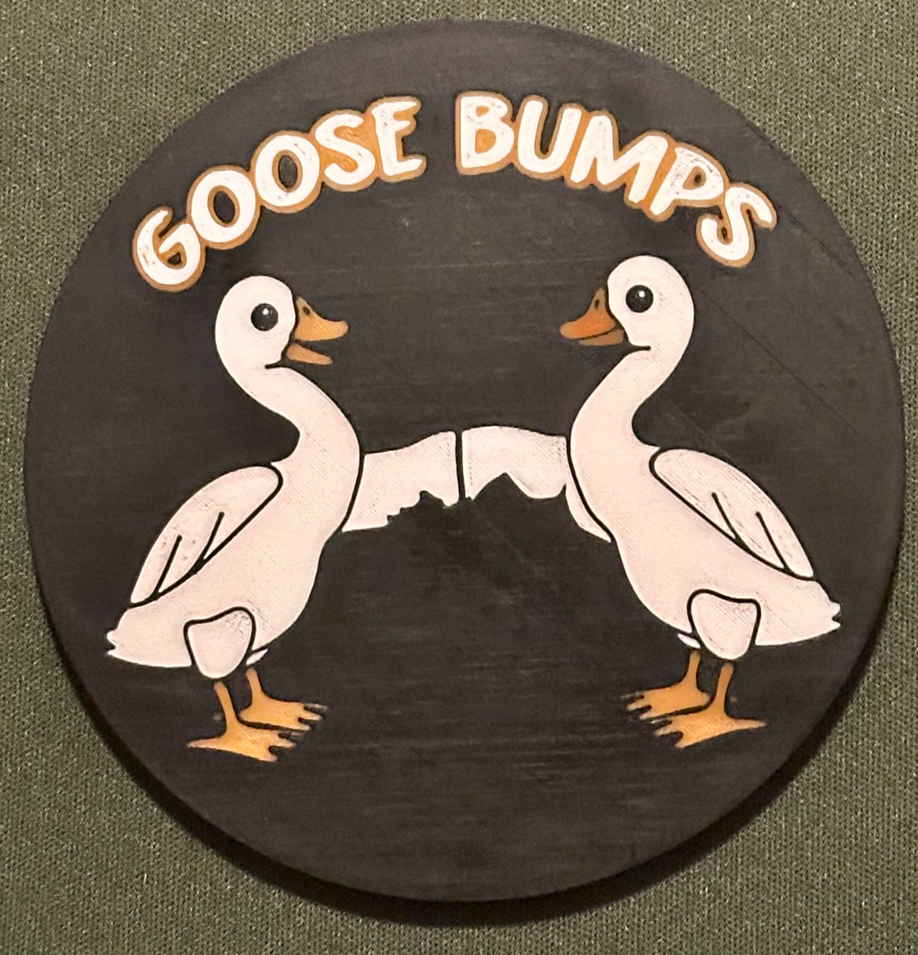 Goose Bumps Coaster
