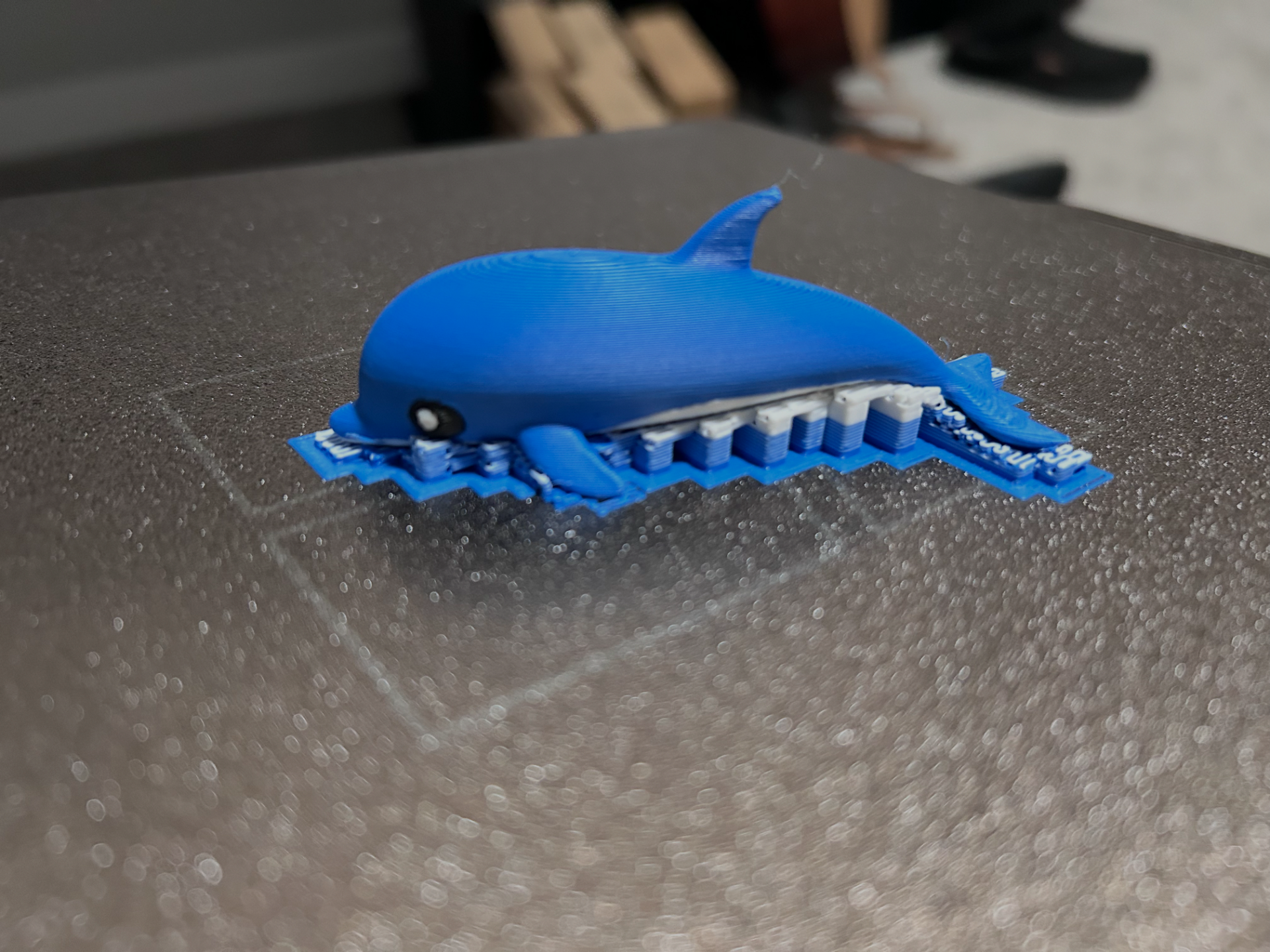 Cute Dolphin